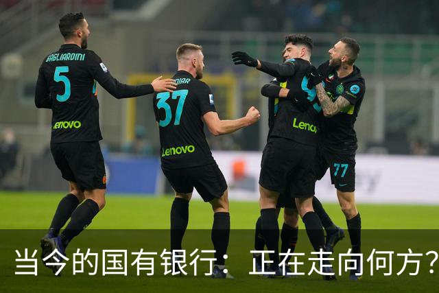 当今的国有银行：正在走向何方？