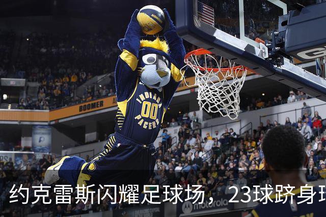 约克雷斯闪耀足球场，23球跻身瑞典队史射手榜第12位，伊布独占鳌头